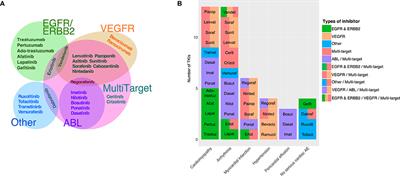 Mechanistic Systems Modeling to Improve Understanding and Prediction of Cardiotoxicity Caused by Targeted Cancer Therapeutics